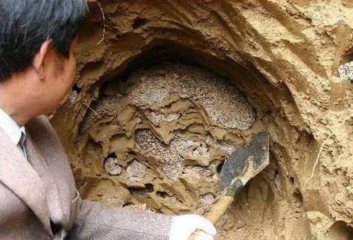 千里之堤 溃于蚁穴 来看河南水利工程如何化解?