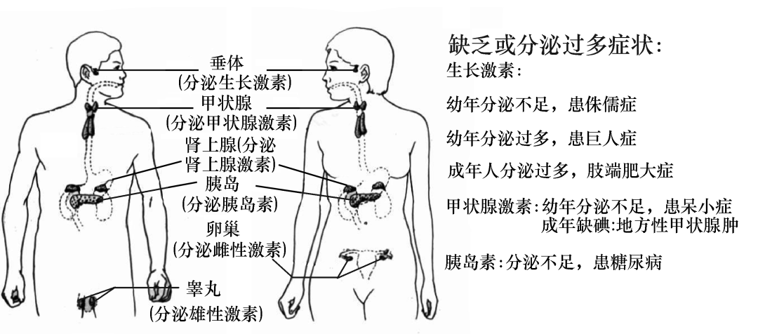 abb367cad39c4871b41287cb62881ad2.png