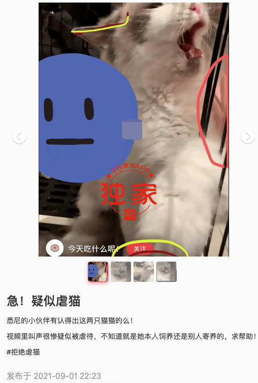 9月2日,身在国内的王女士上班途中刷手机,在某猫友微信群看到一则分享