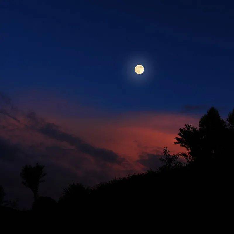 早读中秋节怀一轮明月回故乡