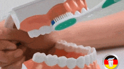 家长|每天刷牙两次的上海成人仅六成，3岁娃近半乳牙都蛀了！护牙宝典收好