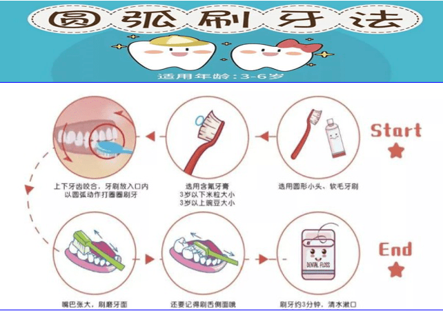 圆弧刷牙法图片图片