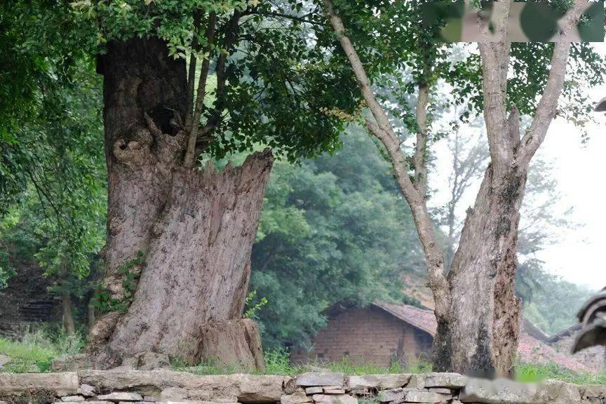 远安地名故事——翟家岭