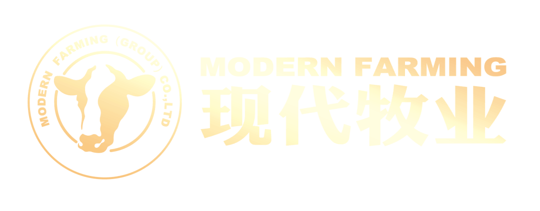 【中秋安"薪"计划】现代牧业全面启动幸福计划暨2021调薪计划,为五年