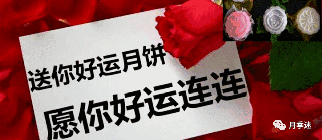 中秋快乐 赏花赏月赏玫瑰 100种 超全月季玫瑰品种图鉴 颜色