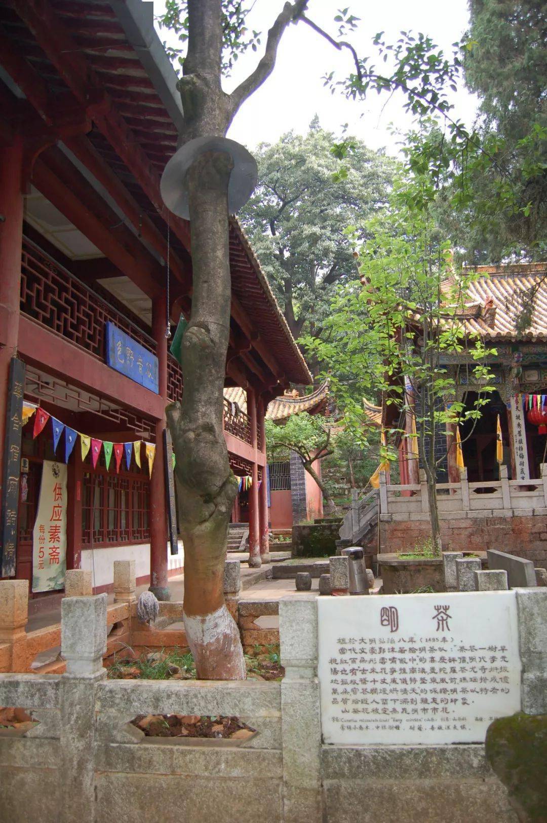 1961年1月,由当时的云南省副省长张冲寄夫人陪同到黑龙潭游赏,遂作此