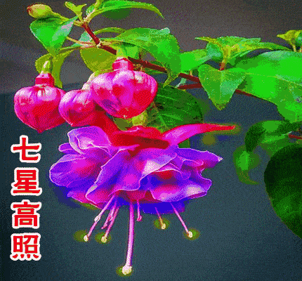 430_400gif 动态图 动图