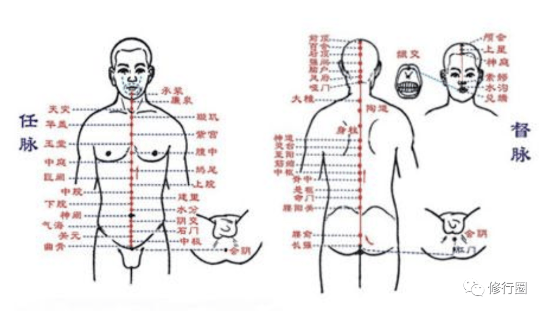 气功小周天运行路线图图片