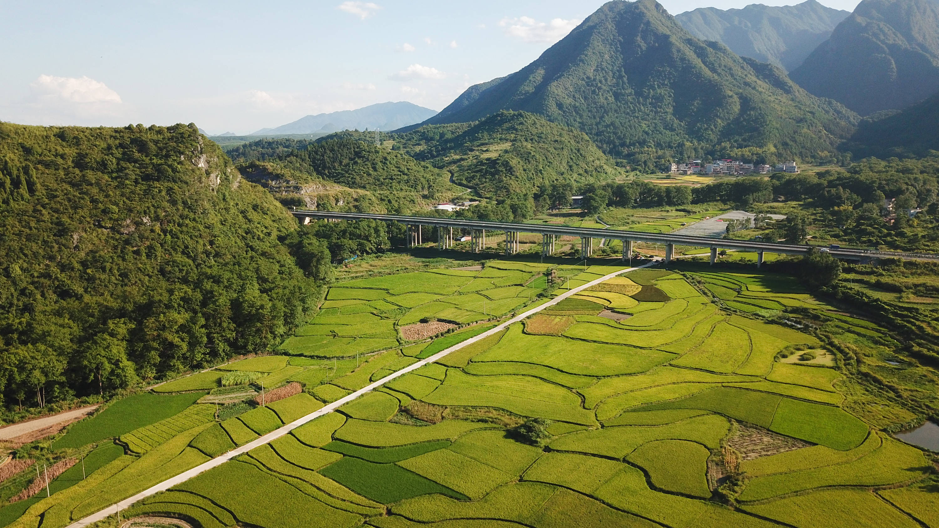 这是湖南省永州市寿雁镇深田村的稻田(8月30日摄,无人机照片).