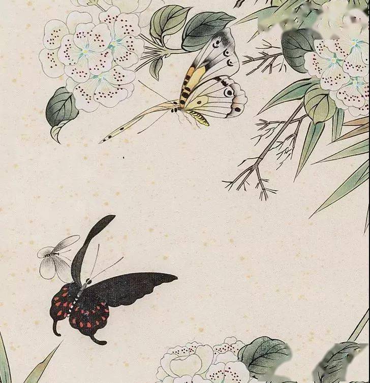 国画蝴蝶纸上来,感觉蝴蝶在动,太逼真了
