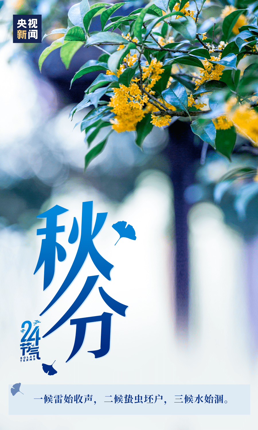 秋分时节,阴阳相半人易病,学点规矩保健康!