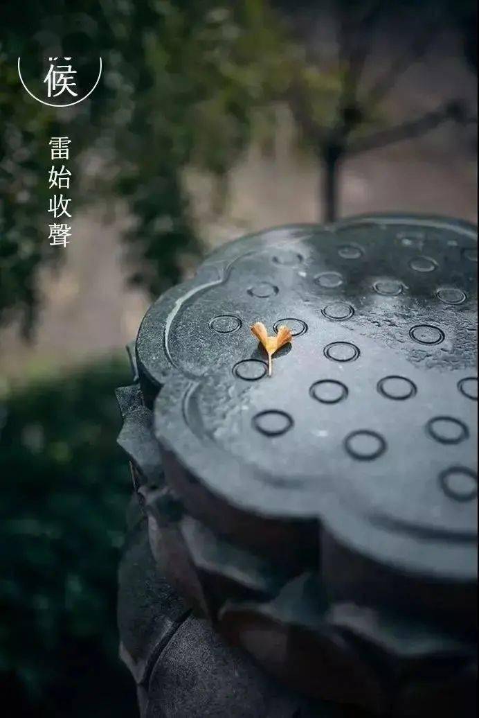 二候丨蛰虫坯户