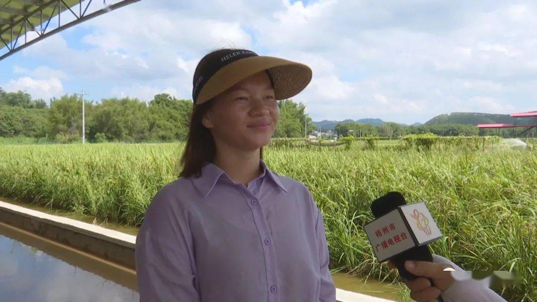 龙圩区龙圩镇大恩村村民黎淼衡"今天有三个活动