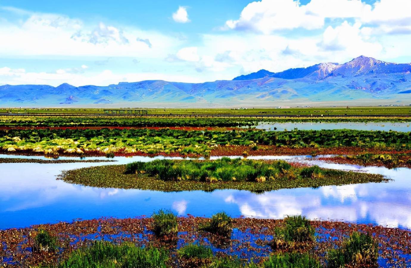 四川若尔盖花湖若尔盖草原上的明珠蓝绿相间美得炫目