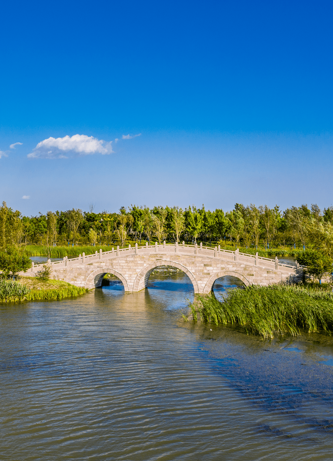 明天起颍州西湖开放预约免费