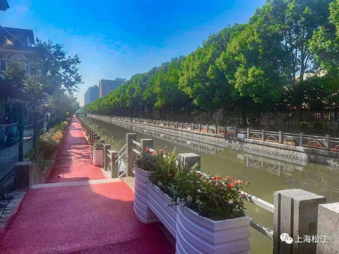 步道、花箱、绿植……松江三条河道焕新颜，快来散步！