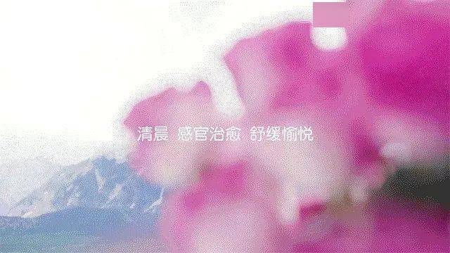 眼睛眼睛往往是暴露衰老的罪魁祸首！一个女人的风情，全蕴含在眼睛里~