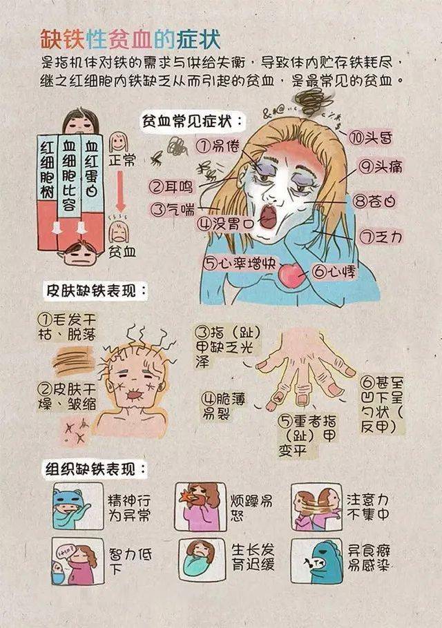 【艾养身】贫血和血虚不是一回事,稀里糊涂乱补没