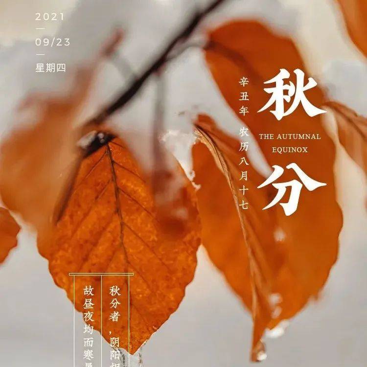 【秋分】时光对折 平分秋色_秋牛