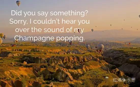 什么|葡萄酒爱好者的日常