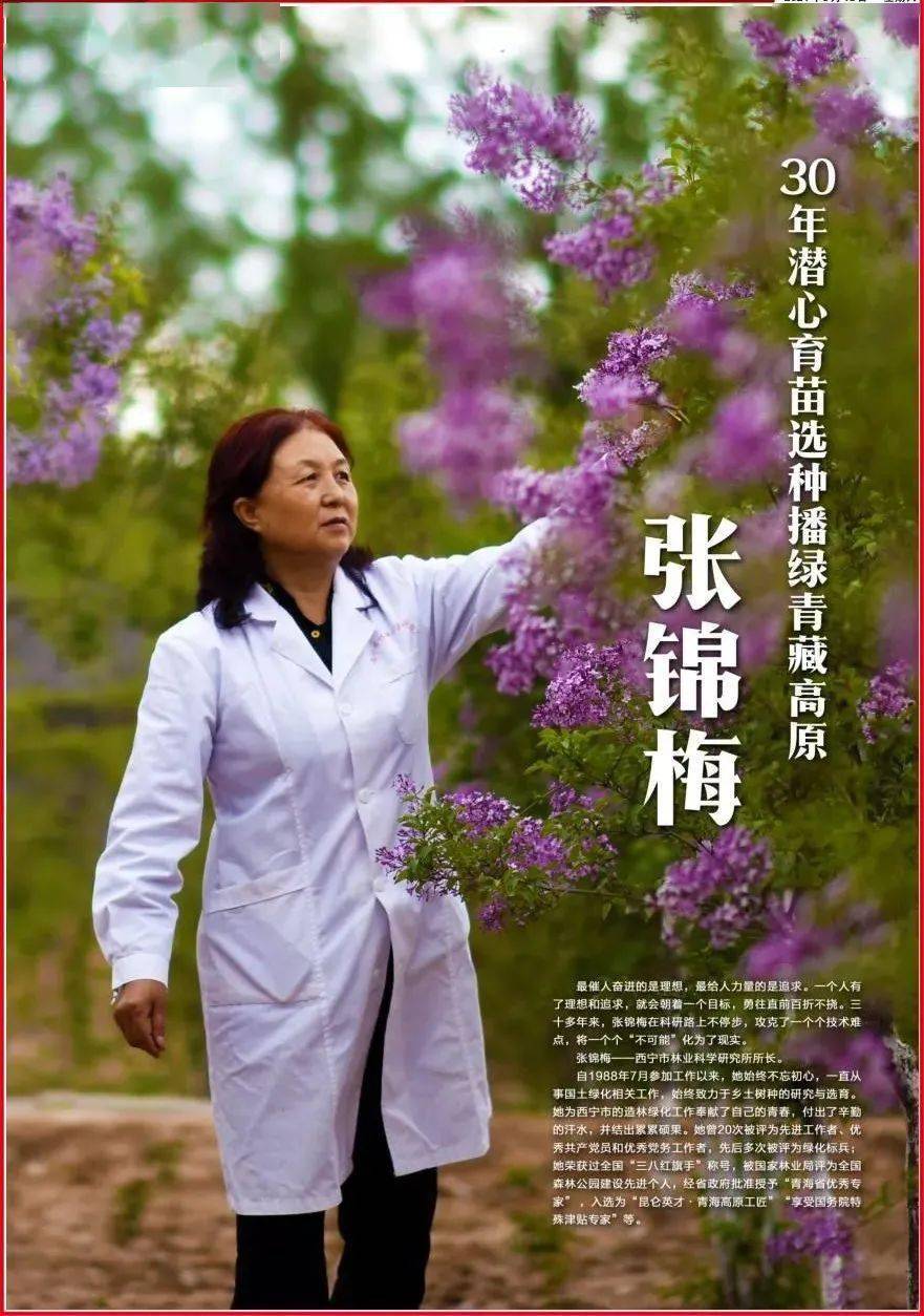 榜样的力量直抵人心张锦梅同志先进事迹首场报告会举行