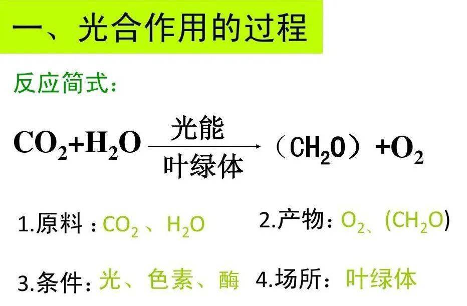 其实跟我们高中学的光合作用原理相似,科学家们对光合作用进行了一波