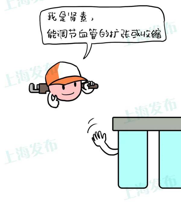 代谢|【医聊】憋尿就是把肾泡在脏水里，怎样护肾养肾？