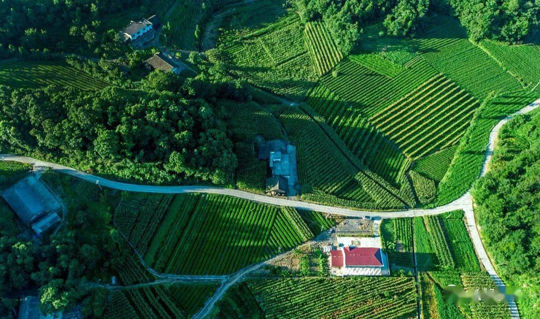 干出长阳新形象新印象新气象99一把手如何带头干④都镇湾镇