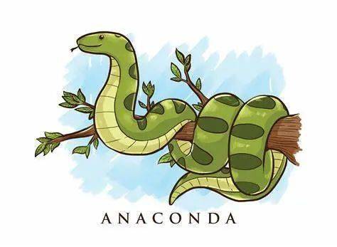 anacondasnake图片