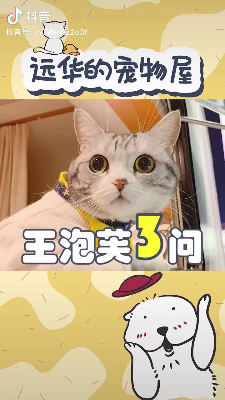 王泡芙换猫图片