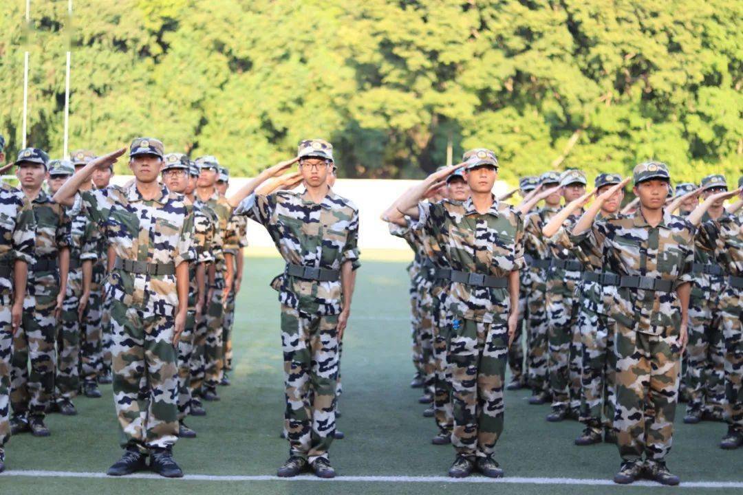 军训特辑英姿飒爽尽显青年风采