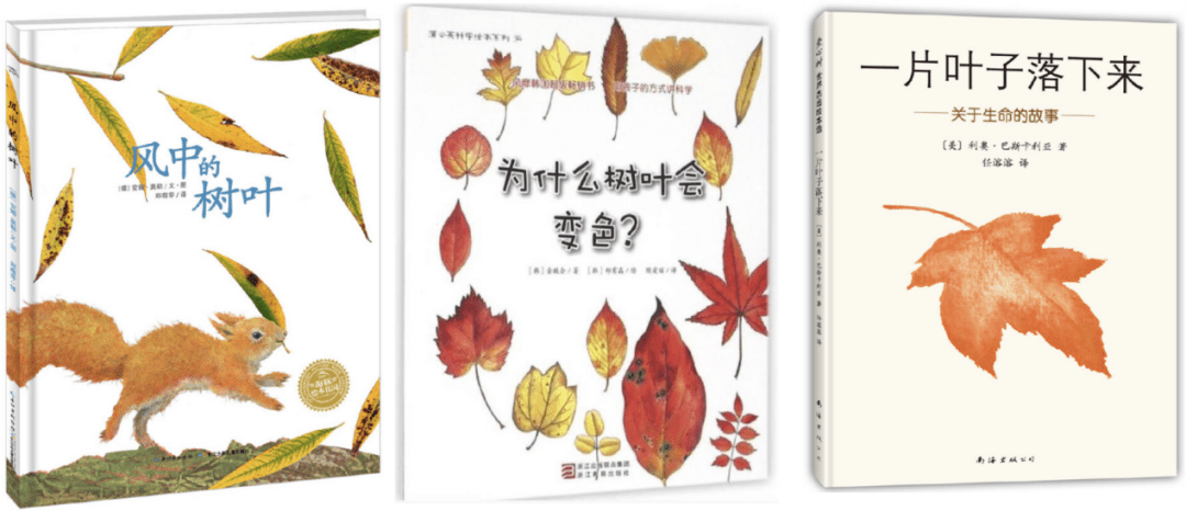 繪本 《落葉跳舞》 《葉子先生》 《紅樹葉,黃樹葉》 《風中的樹葉》