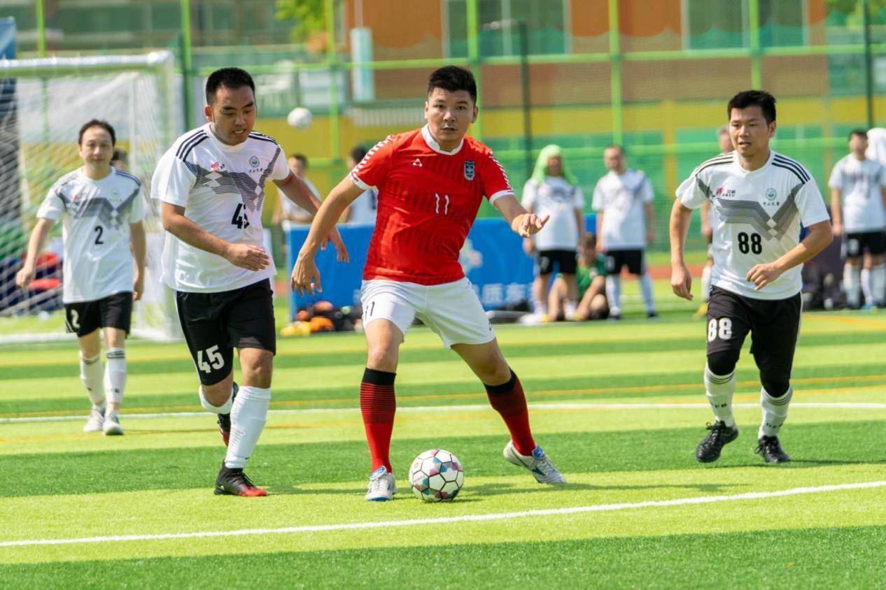 体育|第六届东莞全国高校校友足球联赛开幕，赛事将持续至12月