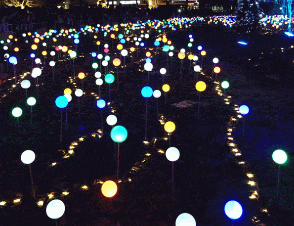 到雪浪山赏草,赏灯,赏秋天