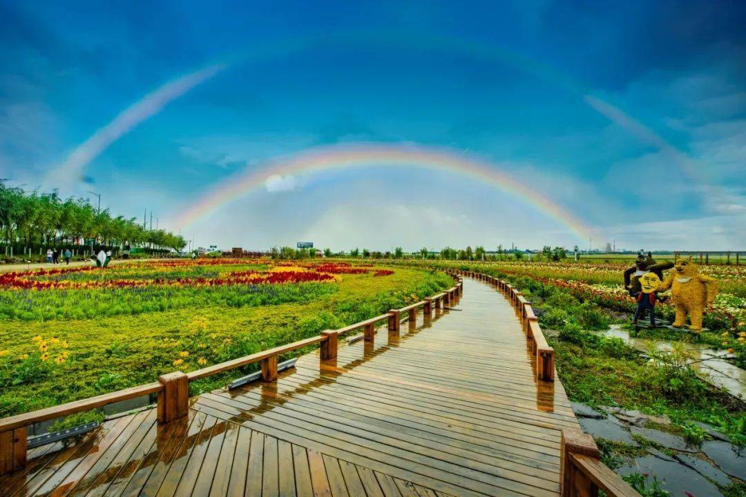 勃利用镜头记录爱我家园共创幸福美城