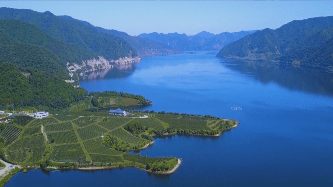 东北亚|【聚焦第十三届中国—东北亚博览会】主播带您看展会:葡萄美酒 香飘万家