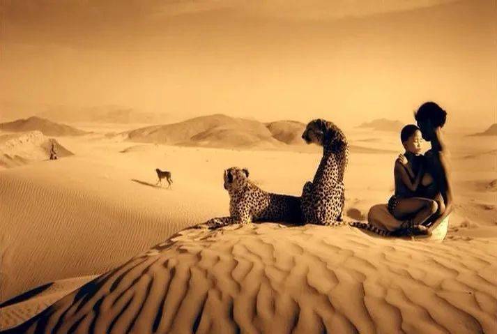  ——gregory colbert2002年4月7日,威尼斯雙年展.