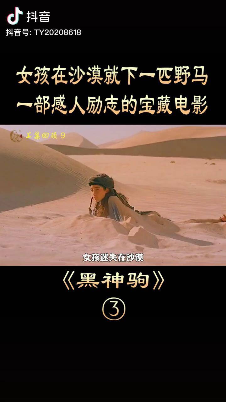 黑神驹 一部感人励志的电影电影解说 黑神驹前传 战马 萤火虫计划 中