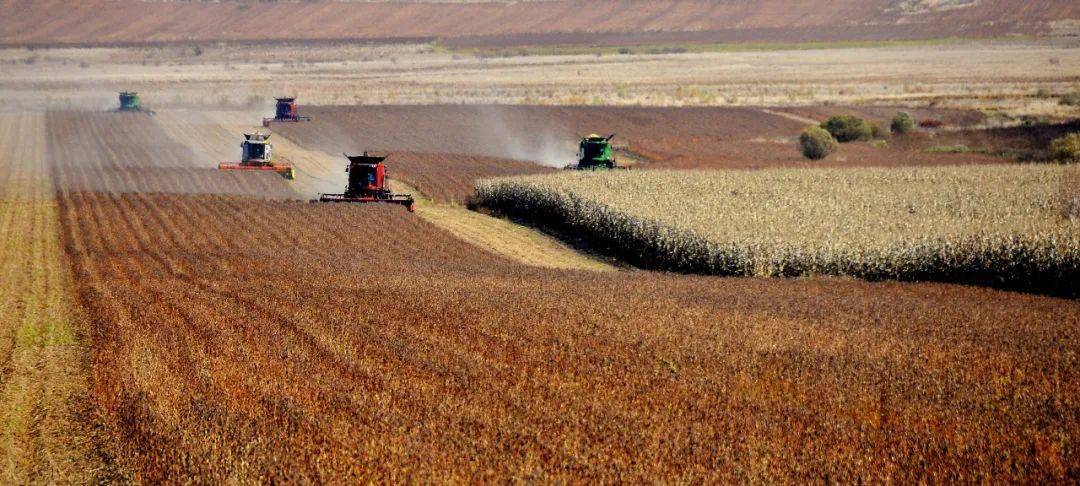 生态好山好水好稻米铁力农场有限公司欢迎您铁力农场有限公司党委书记