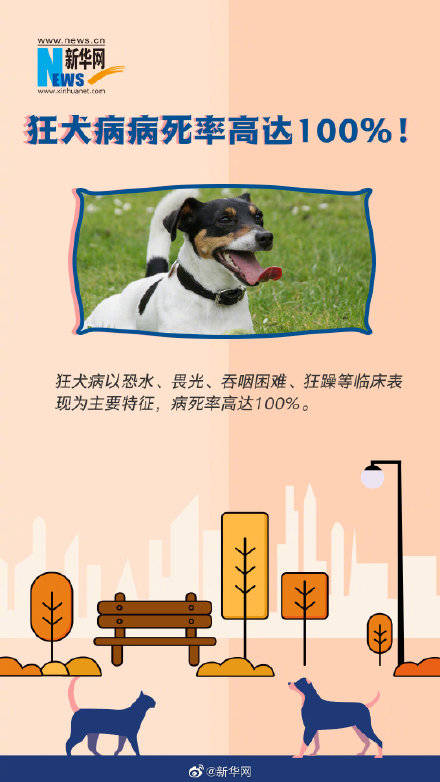 死亡|这些狂犬病常识你一定要了解