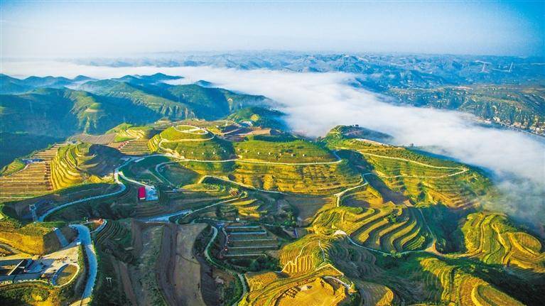 绥德裴家茆水土保持示范园.本报通讯员 王瑞平摄