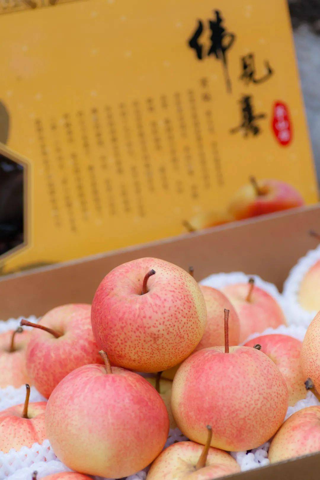 庆丰收 感党恩 | "北京优农"品牌之茅山后佛见喜梨_五统一