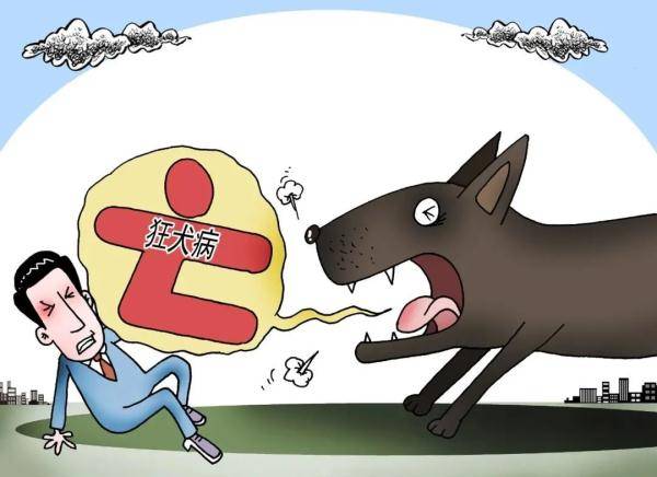 疫苗|世界狂犬病日丨一起聊聊关于狂犬病的那些事儿