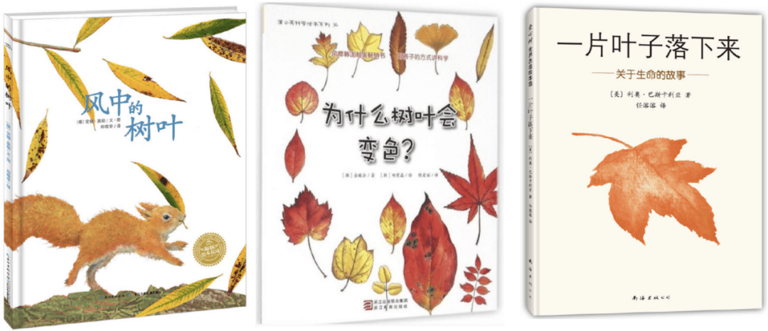 适合3 小朋友的绘本《落叶跳舞》《叶子先生》《红树叶,黄树叶》 找