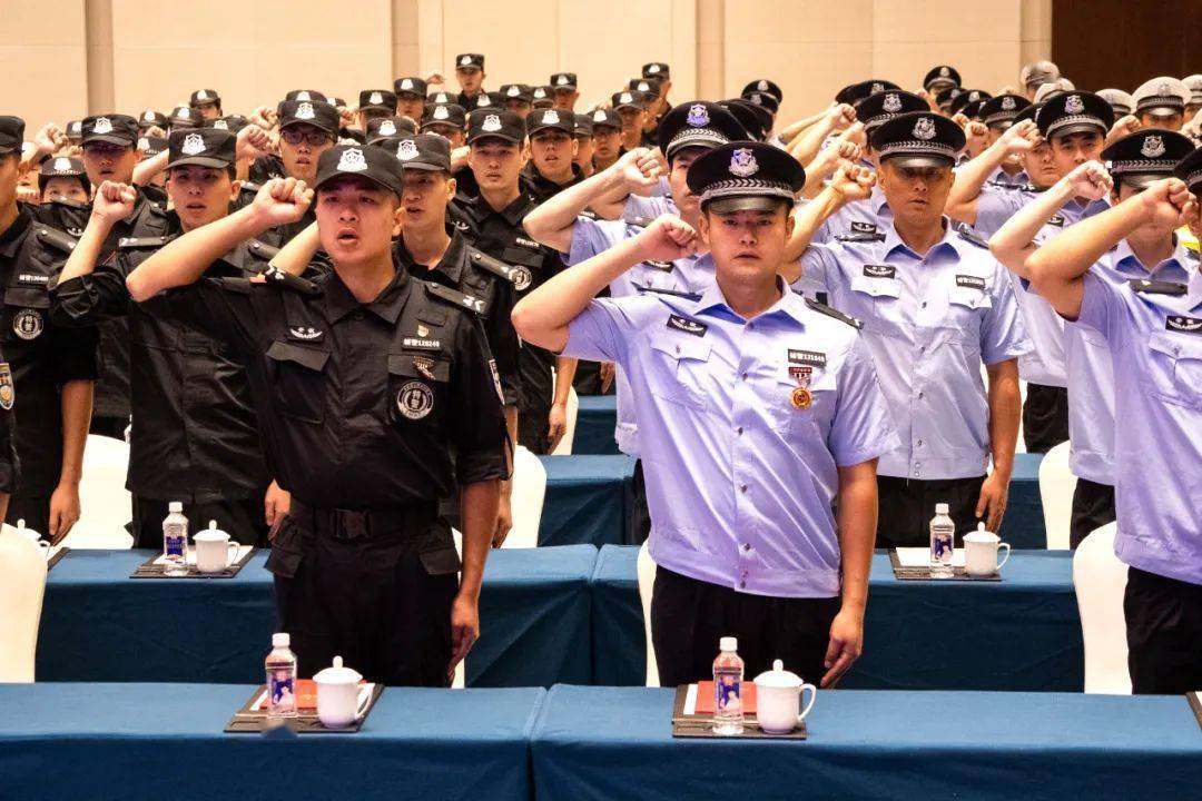 制度化,法治化建设,不断推深做实辅警管理改革,为加快打造"三地一区"