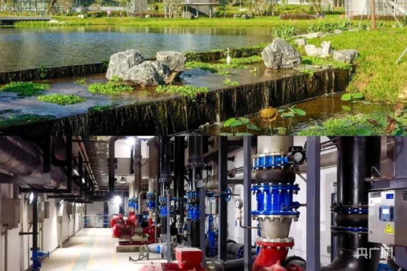 技术|“隐身”公园！国内首个5G地下水质净化厂在深投入使用