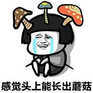 啥时候停雨啊 bc12d83a0e4a4d98b3af2e309b5d6d6a.jpeg