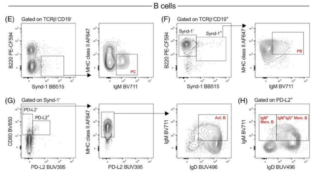 19色方案分析小鼠t細胞b細胞和抗體分泌細胞亞群