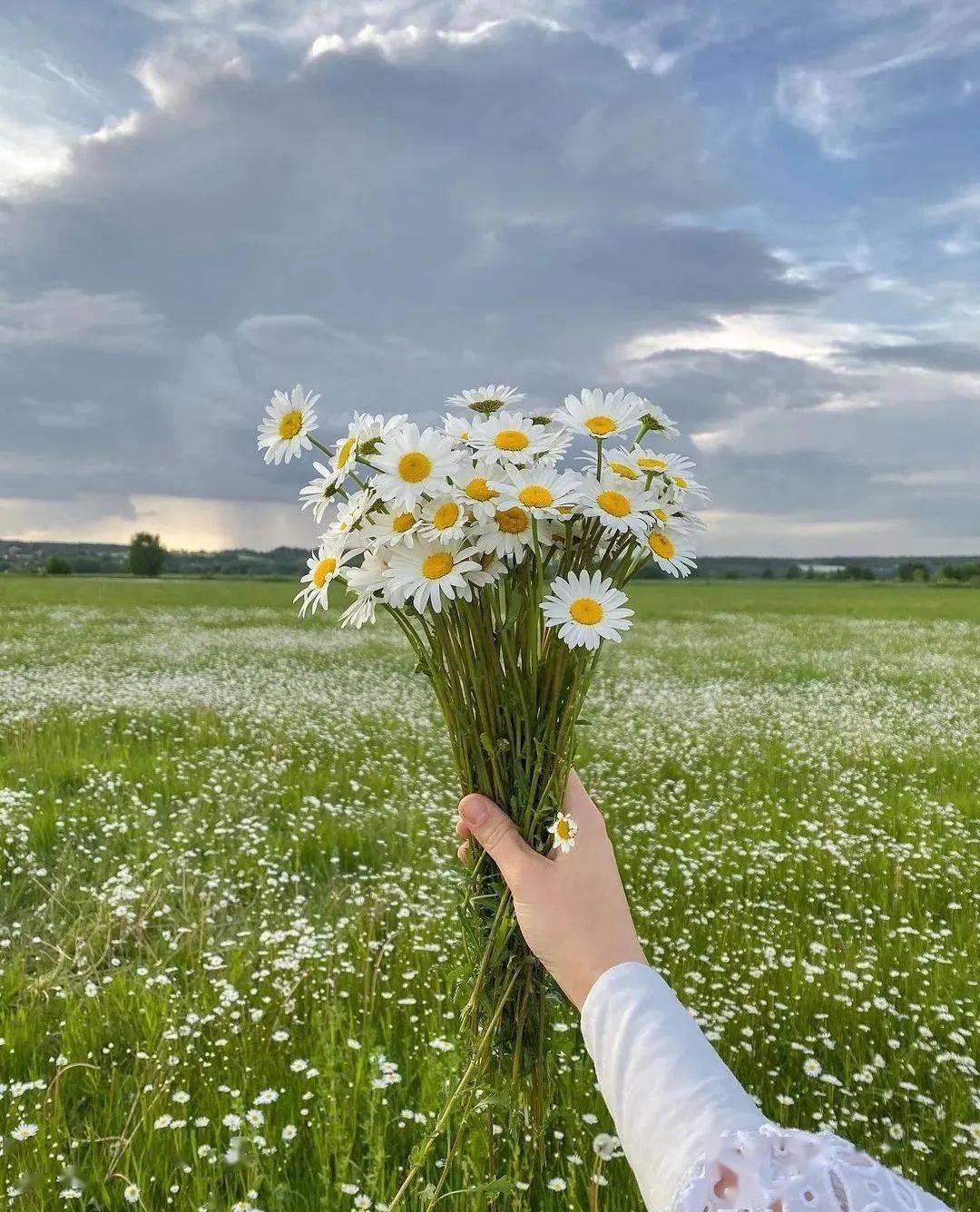 长期不换微信头像的人往往是以下几种心态