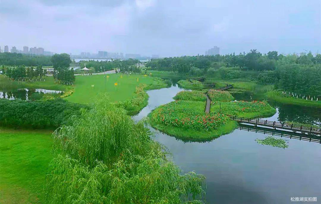 啥叫生态经济 30e1d09401ec4b53bd9c527fe711ed78.jpeg